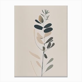 Astragalus Herb Simplicity Canvas Print