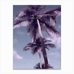 Palm Tree Sky Canvas Print