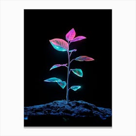 Neon Plant 41 Canvas Print