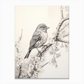 Bird Ivory Pencil Sketch Drawing Nature Spring Elegant Vintage Ephemera Journal Canvas Print