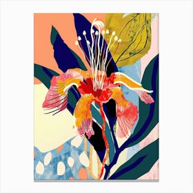 Colourful Flower Illustration Bergamot 4 Canvas Print