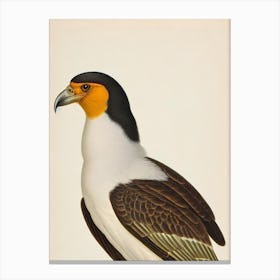 Crested Caracara James Audubon Vintage Style Bird Canvas Print