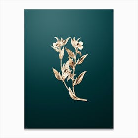 Gold Botanical Long Branched Enothera on Dark Teal n.4891 Canvas Print