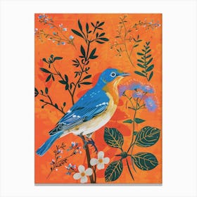 Spring Birds Eastern Bluebird 3 Canvas Print