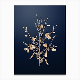 Gold Botanical Yellow Broom Flowers on Midnight Navy Canvas Print