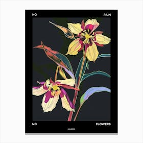 No Rain No Flowers Poster Hellebore 4 Canvas Print