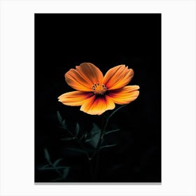 Orange Flower 26 Canvas Print