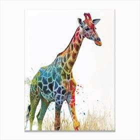 Giraffes Wandering Through The Grass 3 Canvas Print