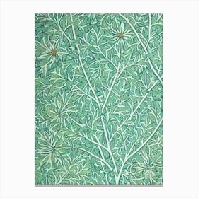 Bur Oak tree Vintage Botanical Canvas Print