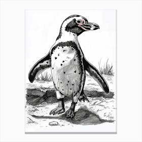 African Penguin Waddling 3 Canvas Print