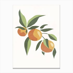 Apricots 1 Canvas Print