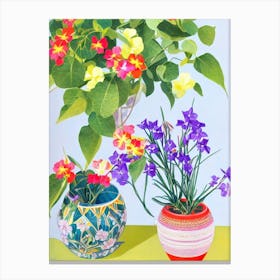 Oxalis Eclectic Boho Plant Canvas Print