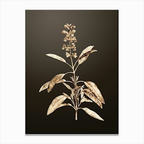 Gold Botanical Sage Plant on Chocolate Brown n.4233 Canvas Print