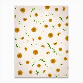 Daisys 1 Canvas Print