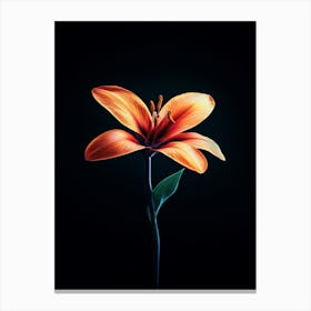 Orange Lily 11 Canvas Print