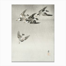 Starlings In The Rain (1900 1930), Ohara Koson Canvas Print