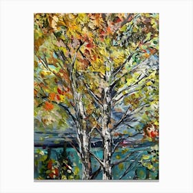 Birch Trees Canvas Print