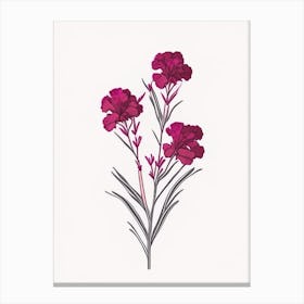 Sweet William Floral Minimal Line Drawing 3 Flower Canvas Print