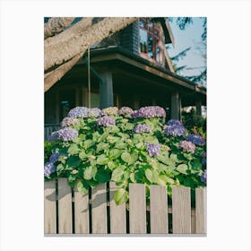 Cannon Beach Blooms VIII on Film Canvas Print