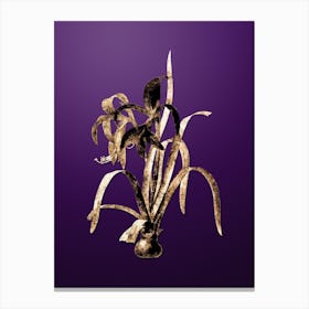 Gold Botanical Sprekelia on Royal Purple n.2478 Canvas Print