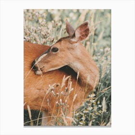 Rustic Deer Canvas Print