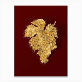 Vintage Grape Vine Botanical in Gold on Red n.0440 Canvas Print