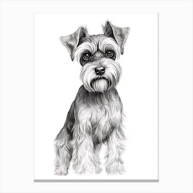 Miniature Schnauzer Dog, Line Drawing 3 Canvas Print