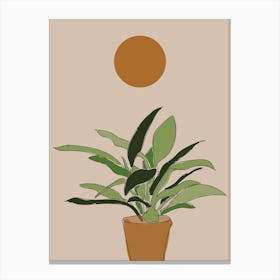 Boho Mid Century Modern Plant Canvas Print