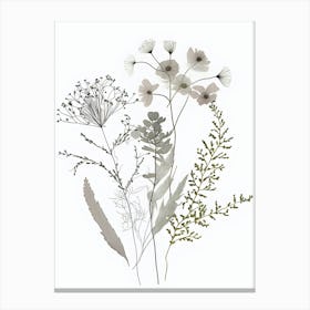 Minimalist Wildflower Floral Botanical Neutral Flower Canvas Print