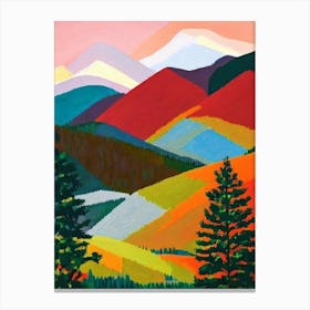 Rocky Mountain National Park 1 United States Of America Abstract Colourful Canvas Print