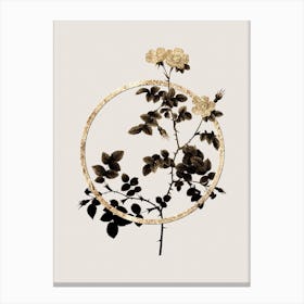 Gold Ring White Sweetbriar Rose Glitter Botanical Illustration n.0278 Canvas Print
