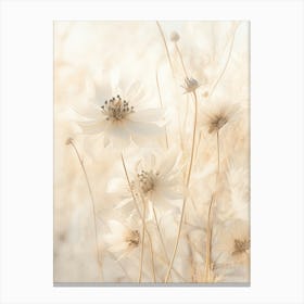 Boho Dried Flowers Love In A Mist Nigella 6 Canvas Print