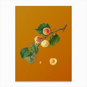 Vintage Peach Botanical on Sunset Orange n.0015 Canvas Print