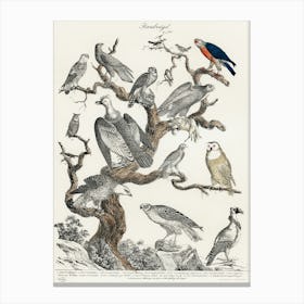 Birds In A Tree Canvas Print