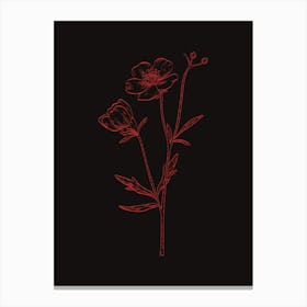 Flowers On A Black Background 3 Canvas Print