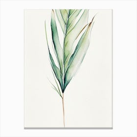 Yucca Leaf Minimalist Watercolour 4 Canvas Print