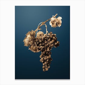 Gold Botanical Grape Spanna on Dusk Blue n.0324 Canvas Print