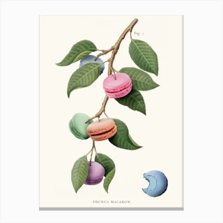 Macaron Plant Cream & Green Canvas Print