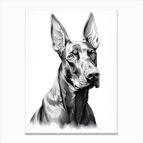Doberman Pinscher Dog, Line Drawing 4 Canvas Print