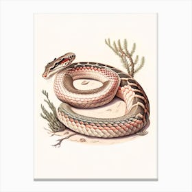 Rattlesnake Vintage Canvas Print
