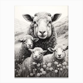 Black & White Illustration Of Highland Sheep With Lamb 1 Canvas Print