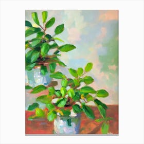 Baby Rubber Plant 3 Impressionist Painting Plant Canvas Print