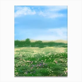 Field Of Flowers 8 Canvas Print