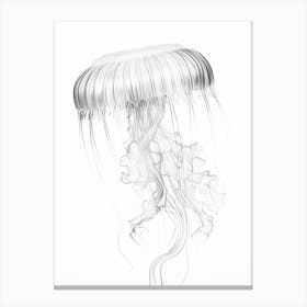 Box Jellyfish Drawing 6 Canvas Print