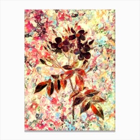 Impressionist Musk Rose Botanical Painting in Blush Pink and Gold Canvas Print