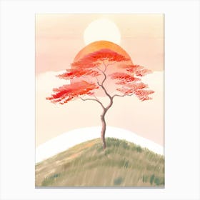 Tree In The Sun Canvas Print