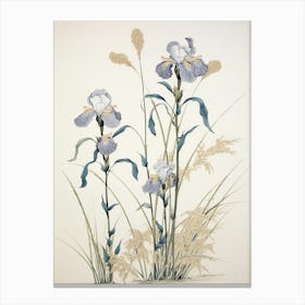 Ayame Japanese Iris 3 Vintage Japanese Botanical Canvas Print