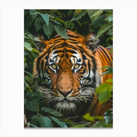 Tiger In The Jungle 3 Canvas Print