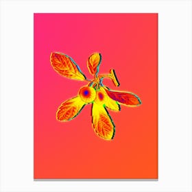 Neon Crabapple Botanical in Hot Pink and Electric Blue n.0223 Canvas Print