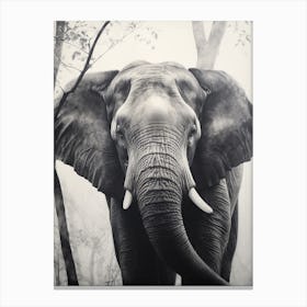 African Elephant Realism Portrait 1 Canvas Print